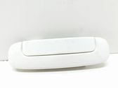 Manecilla externa puerta delantera