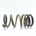 Muelle espiral trasero