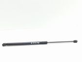 Tailgate/trunk strut/damper