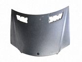 Capó/tapa del motor