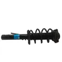 Front shock absorber with coil spring