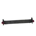 Intercooler radiator