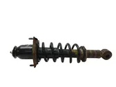 Rear shock absorber with coil spring