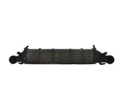 Intercooler radiator