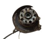 Rear wheel hub