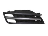 Front fog light trim/grill
