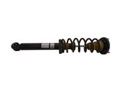 Rear shock absorber with coil spring