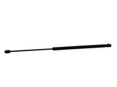 Tailgate/trunk strut/damper