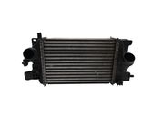 Intercooler radiator