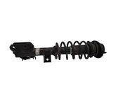 Front shock absorber with coil spring