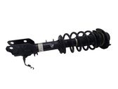 Front shock absorber with coil spring