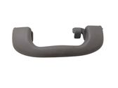Rear interior roof grab handle