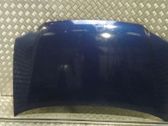 Motorhaube