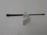 Radion antenni