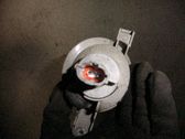 Piloto intermitente delantero