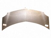 Motorhaube