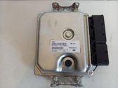 Engine control unit/module ECU