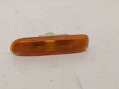 Front fender indicator light