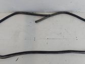 Trunk rubber seal (body)
