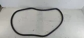 Rear door rubber seal (on body)