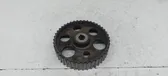 Fuel pump gear (pulley)