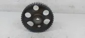 Fuel pump gear (pulley)