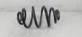 Rear coil spring