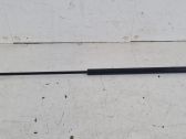 Front bonnet/hood damper/strut