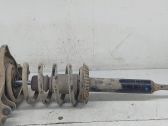 Front shock absorber with coil spring