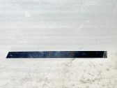 Rear door glass trim molding