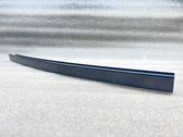 Other rear door trim element