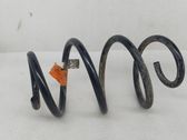 Front coil spring
