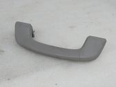 Front interior roof grab handle