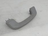 Front interior roof grab handle