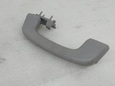 Rear interior roof grab handle