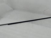 Front door glass trim molding