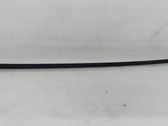 Windshield trim