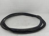 Rear door rubber seal (on body)