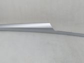 Front door trim bar
