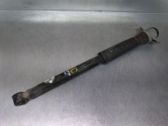 Stoßdämpfer hinten