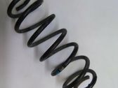 Rear coil spring