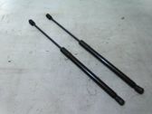 Tailgate/trunk strut/damper