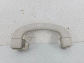 Front interior roof grab handle