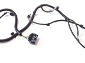 Other wiring loom
