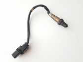 Sonde lambda
