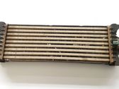 Intercooler radiator