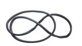 Rear door rubber seal (on body)