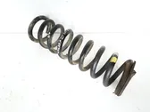 Front coil spring