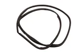 Rear door rubber seal (on body)