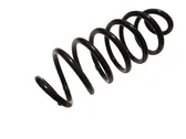 Rear coil spring